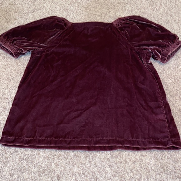 Velvet puff sleeve LOFT top - Picture 8 of 9